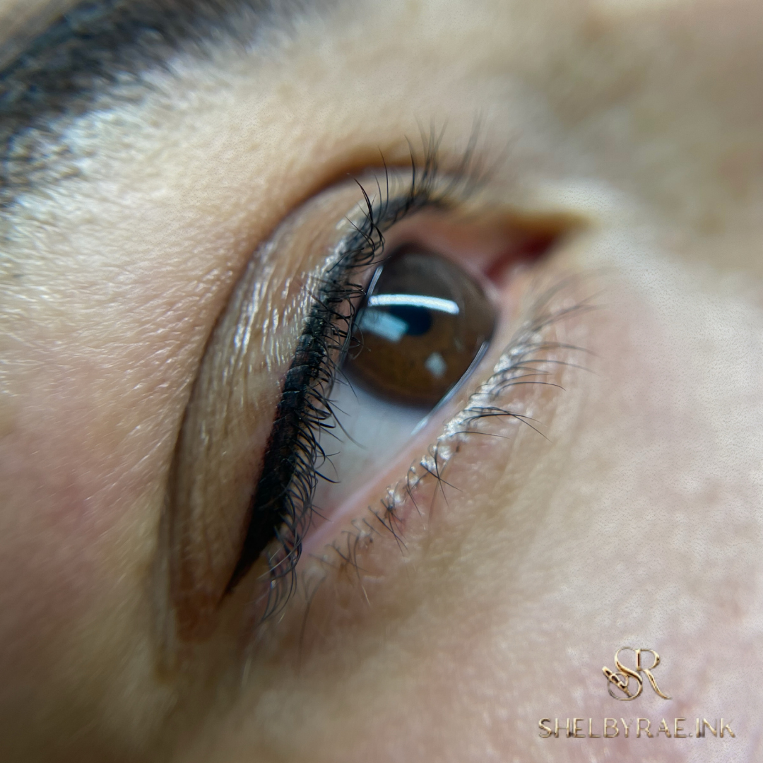 “Transform your eyebrows with Nano Brows at Shelbyrae.INK in Rocklin, CA. Expert PMU artist creates natural, defined brows tailored to you.”